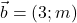 \vec{b} = (3; m)